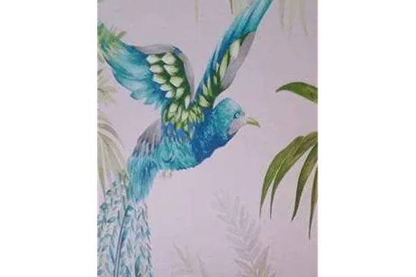 Adelaide Wallpaper & Painting logo