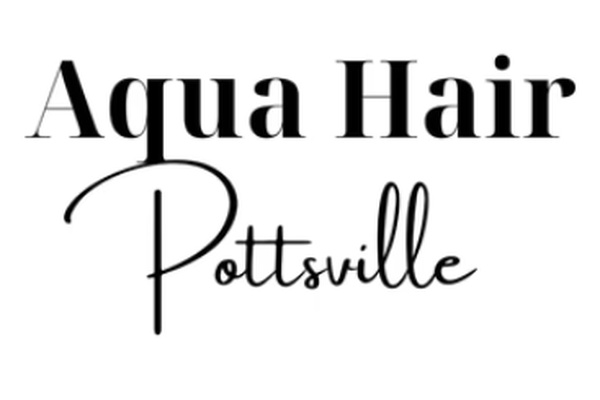 Aqua Pottsville logo
