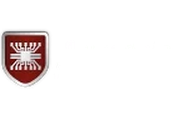 Armadale IT Support logo