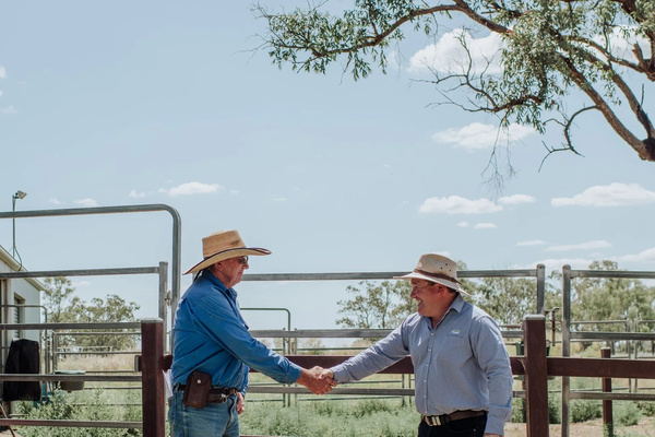 BMO Accountants logo