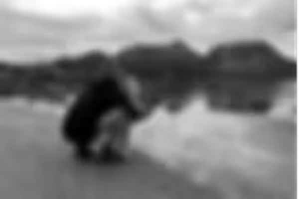 B.W. Contracting logo