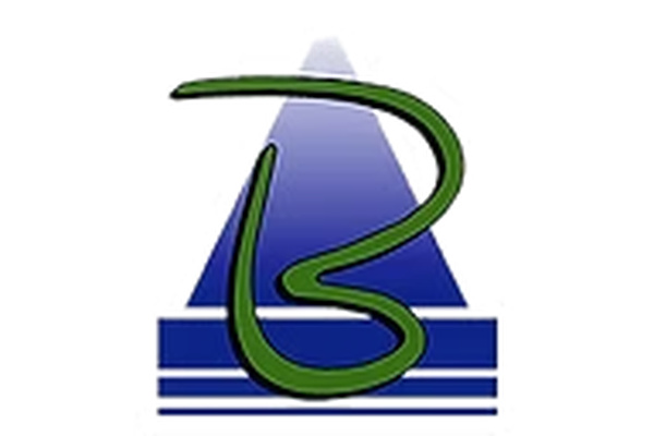 Baldwin Plumbing(Qld) Pty Ltd logo