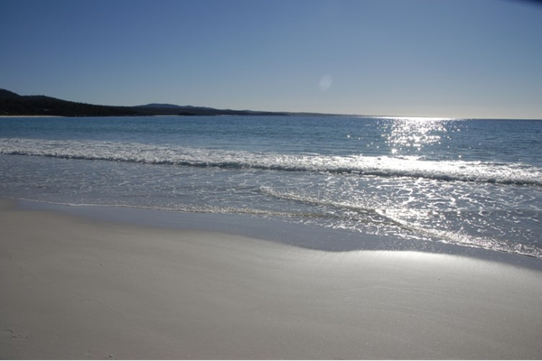 Bay of Fires Graphics logo