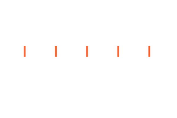 Beaver Global logo