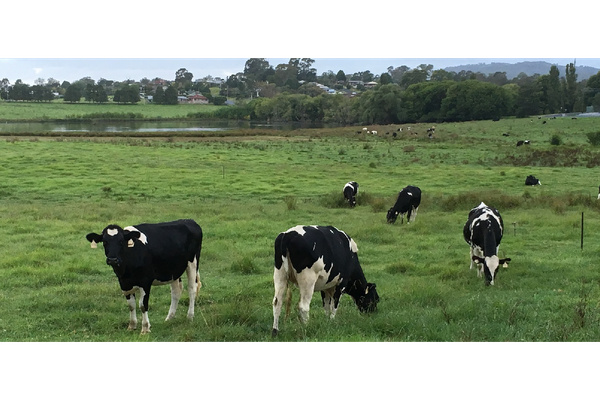 Bega Dental Practice logo