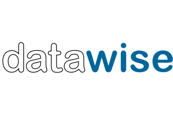 Datawise Consulting Pty Ltd logo