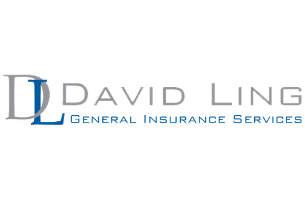 David Ling General Insurance Services logo