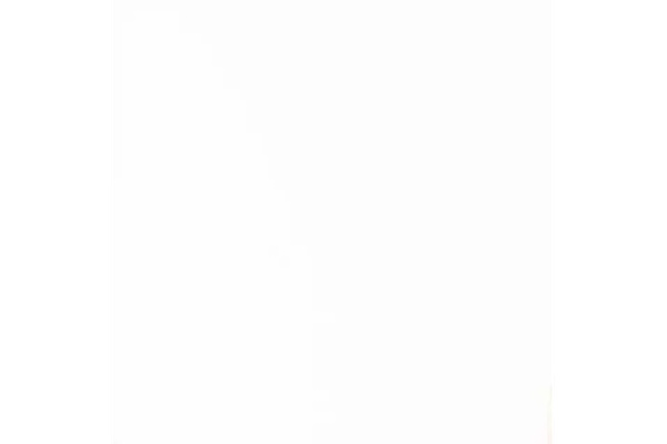 Dazzlebrush Painting Services logo