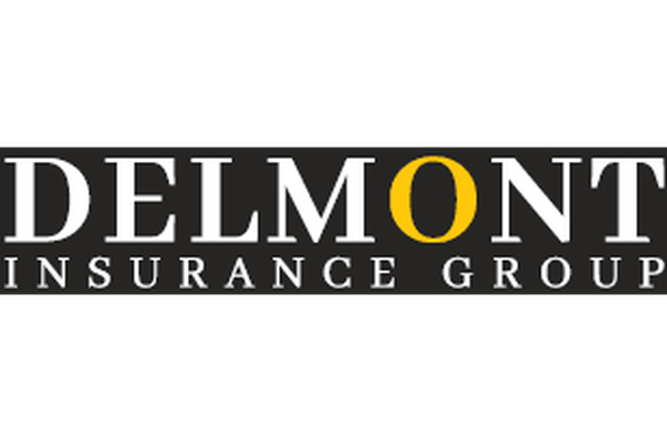 Delmont Insurance Group logo