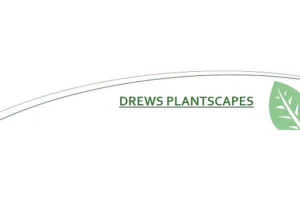 Drew's Plantscapes logo