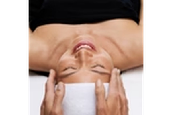 Ella Bache Palmerston logo