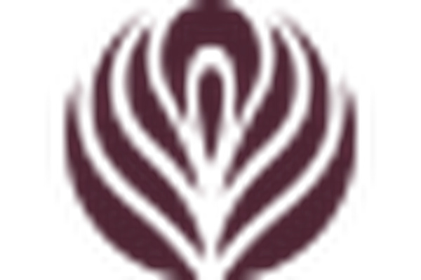 Elysium - A Place Of Beauty logo