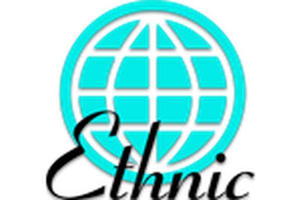 Ethnic Interpreters & Translators logo