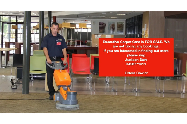 Executive Carpet Care logo