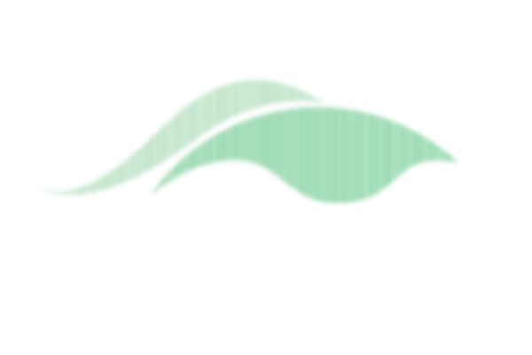 Green Start Consulting Building Surveyor Perth logo