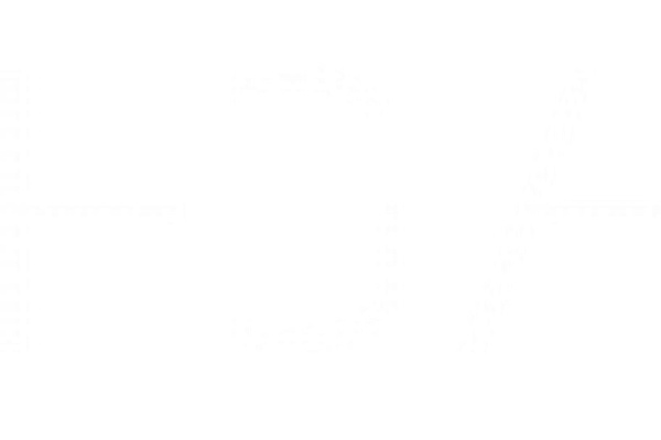 Hugh Gordon Architect logo