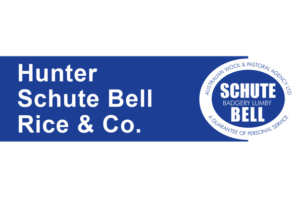 Hunter Real Estate Parkes logo