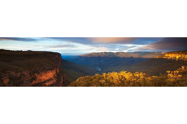 Lewis Financial Advisory Group Pty Ltd logo