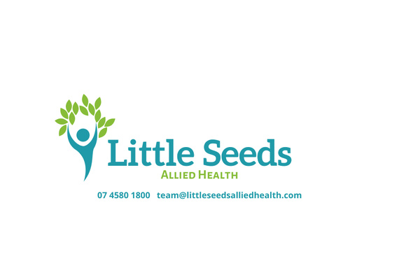 Little Seeds Allied Health logo