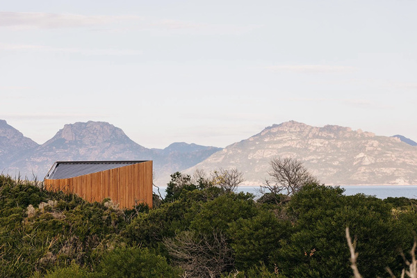 Matt Williams Architects logo