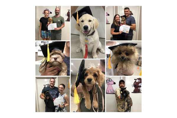 Mt Lawley & Inglewood Veterinary Centre logo