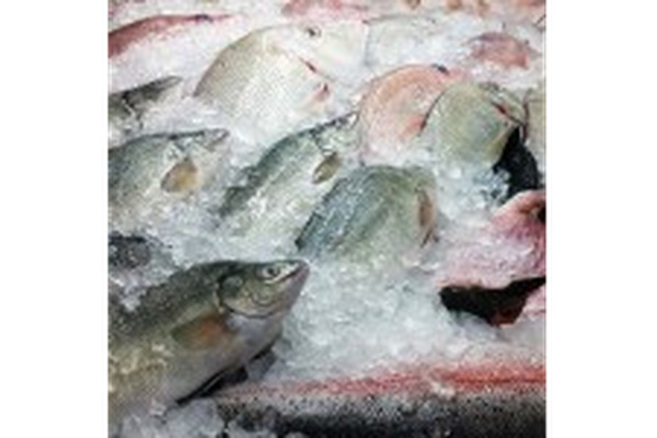 Naeco Blue Seafoods logo