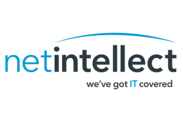 Net Intellect logo