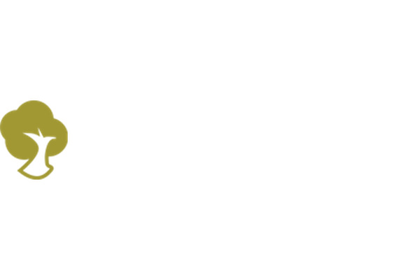 Nils Thiele-Wittig Landscaping logo