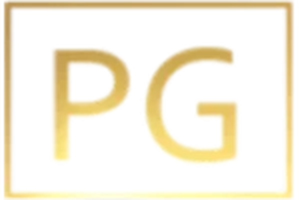 Prabin Gautam - Digital Entrepreneur logo