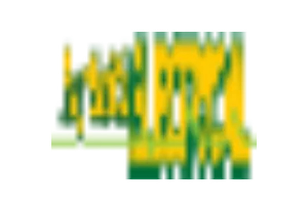 Ray Smith Electrical logo