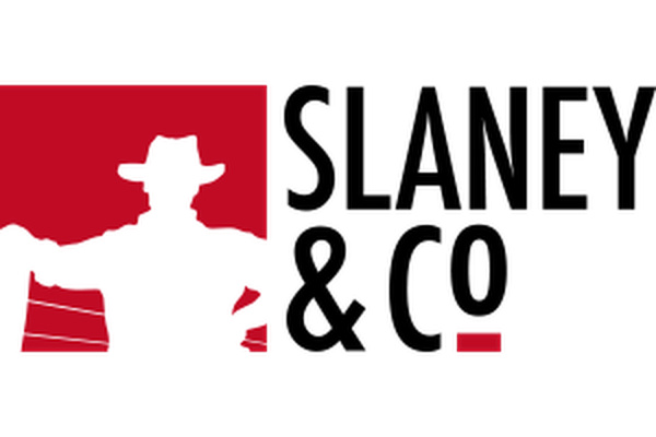 Slaney & Co. logo