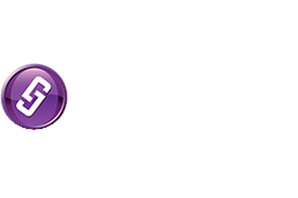 Sleek Websites logo