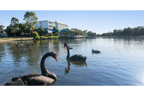 Solutions Property Management logo