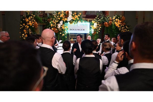 Stedmans Hospitality Personnel & Training P/L logo