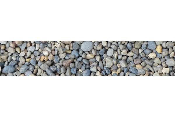 Torrens Dental Clinic logo