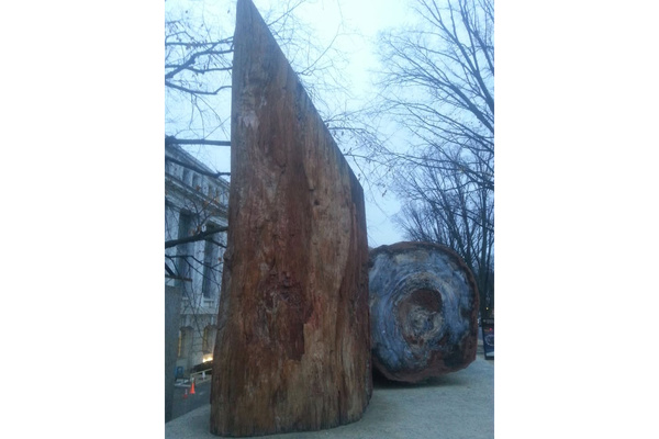 Tristan Whittem logo