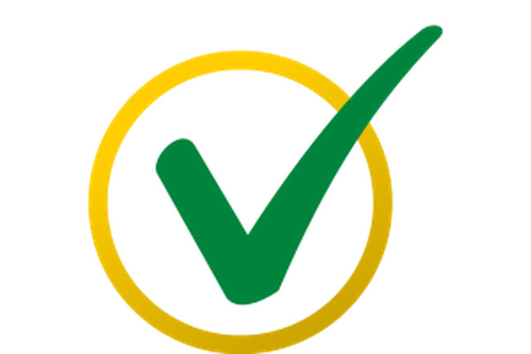 Web Site Advantage logo