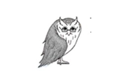 Nicholas Birdseye & Associates logo