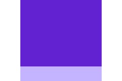 Little Dash logo